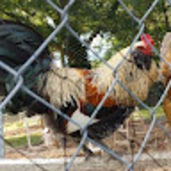 Meet your Posher, Sarah - Picture 1 of 1